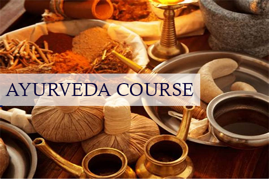 Ayurveda Course