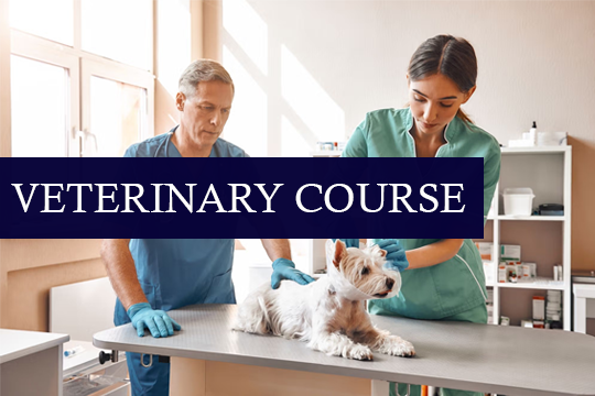 Veterinary Course