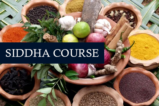 Siddha Course