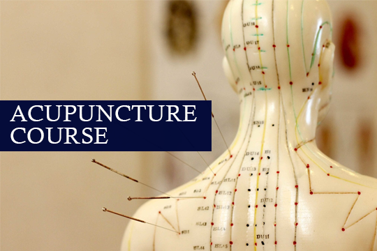 Acupuncture Course